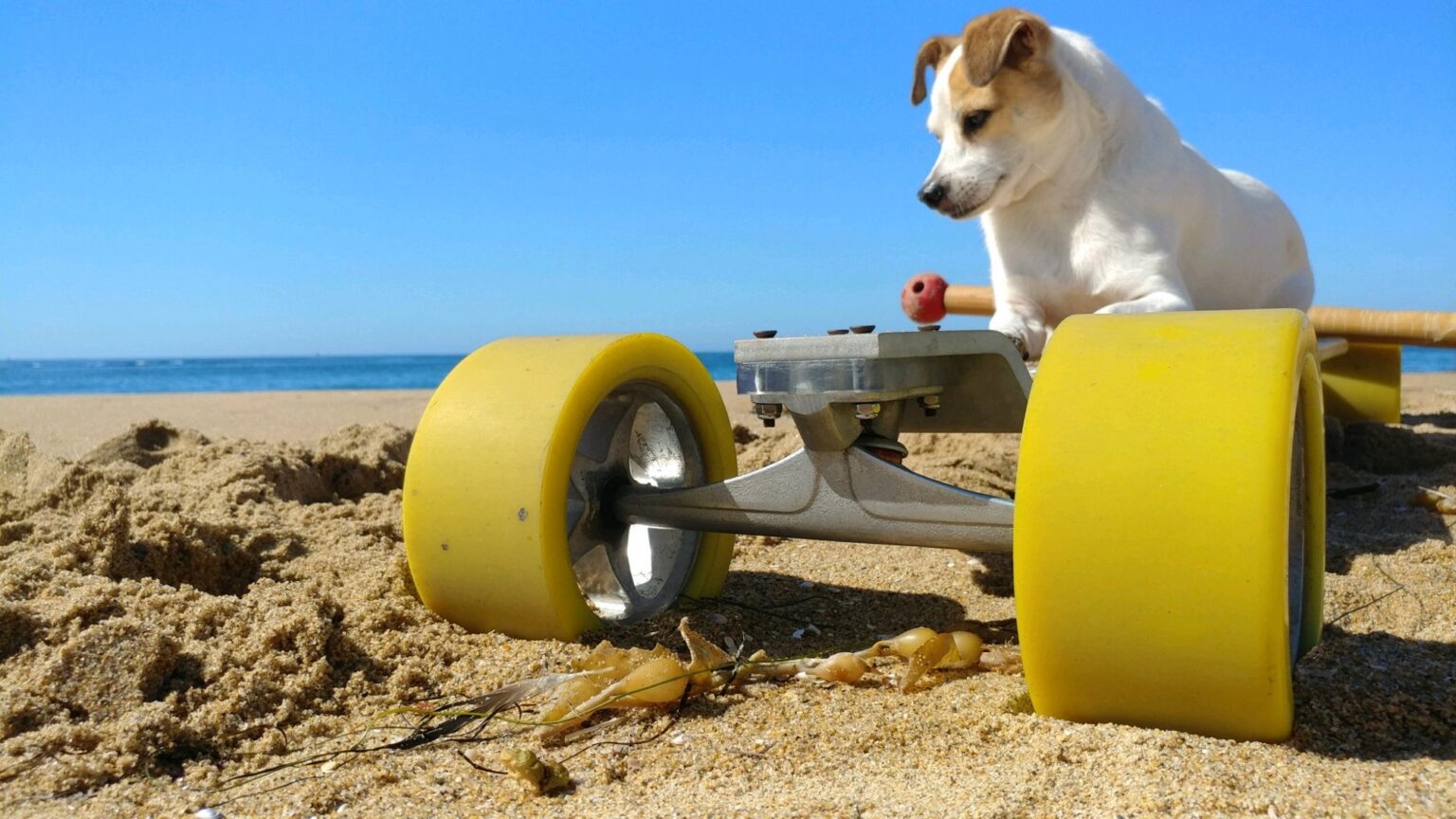 Hootenanny Flow: DonkBoard Meets Spring Break at Montgomery Whitewater ...